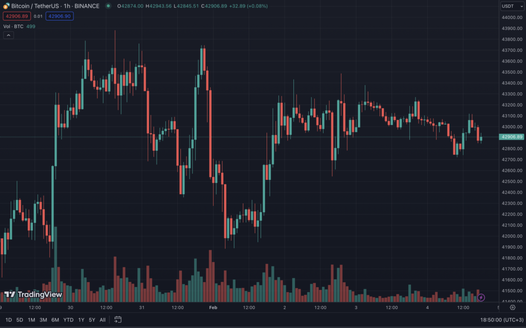 Snimok-ekrana-2024-02-04-v-18.50.00