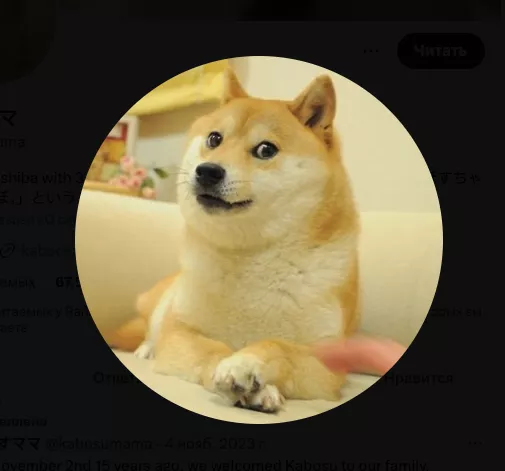 Snimok-ekrana-2024-05-24-v-10.27.56