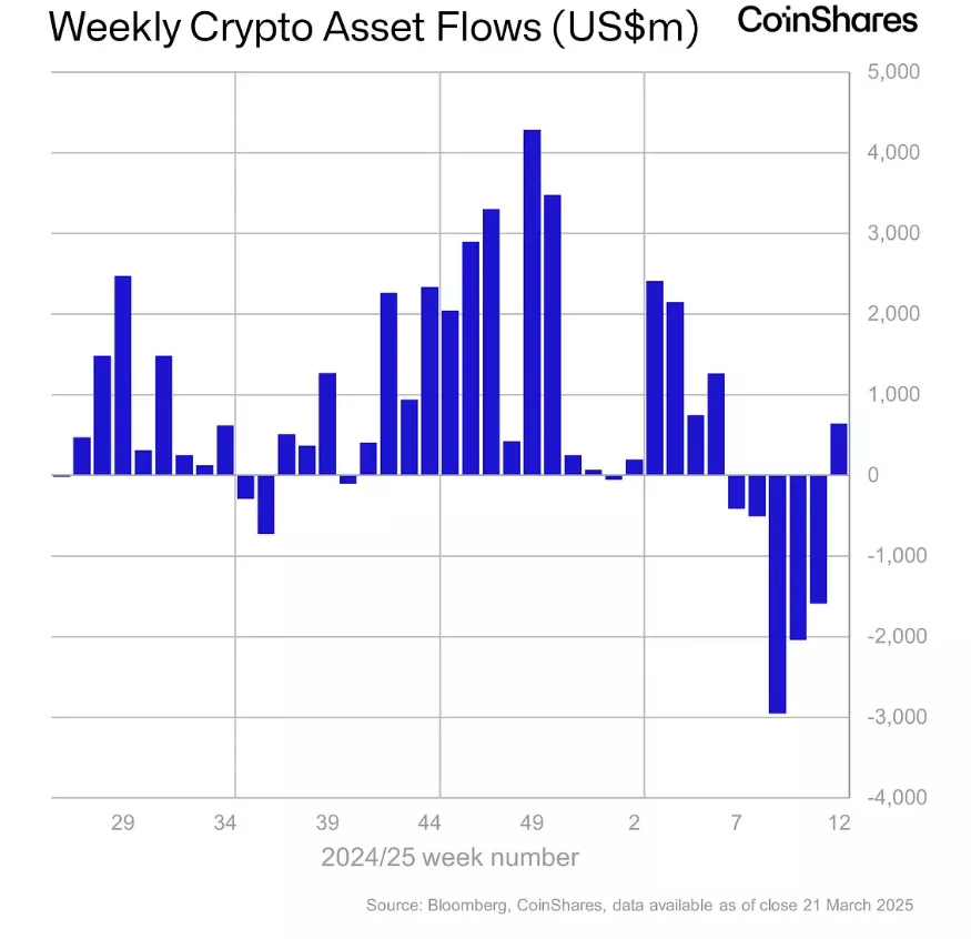 Snimok-ekrana-2025-03-24-134747