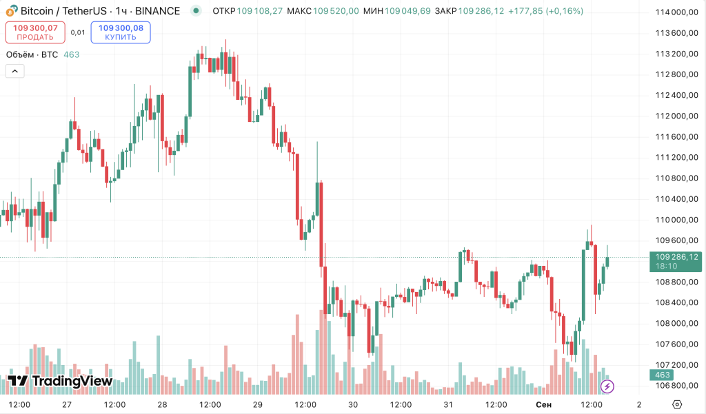 Снимок экрана 2025-09-01 в 16.41.49