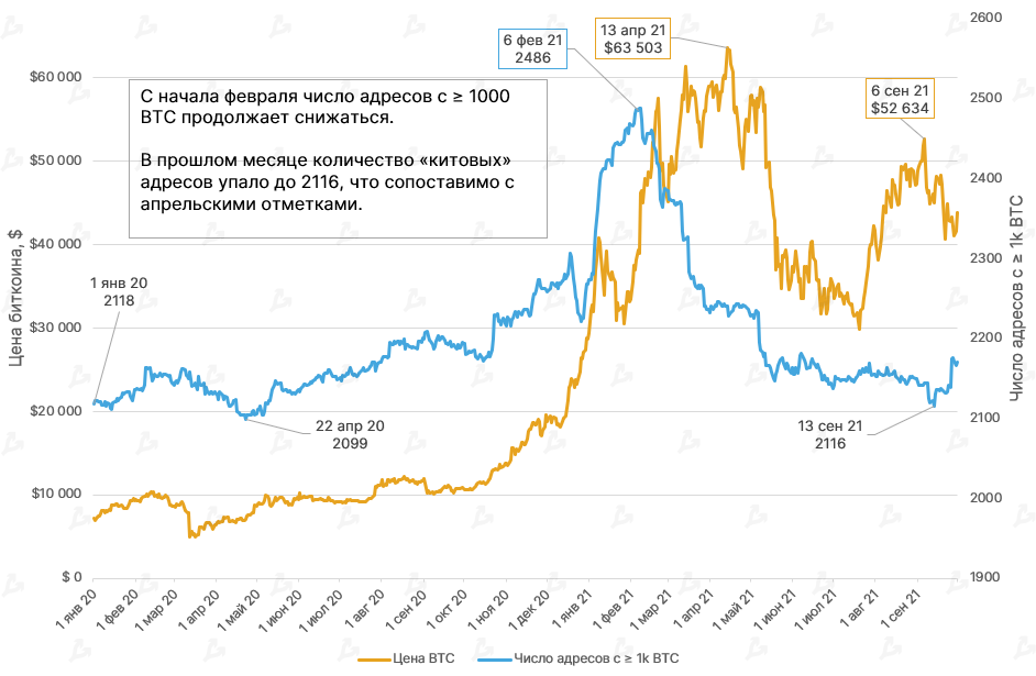 Сентябрь 2021 в цифрах: взлет Arbitrum, ажиотаж вокруг dYdX и второе дыхание Lightning Network благодаря Сальвадору