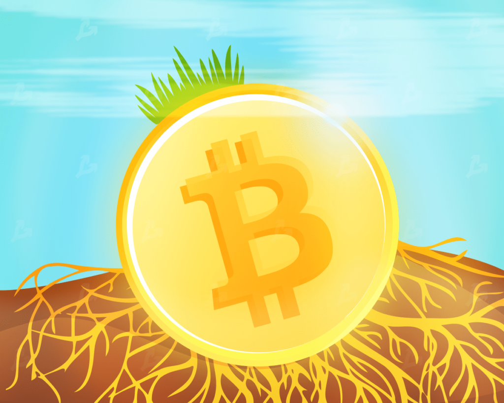 Какие существуют виды биткоин-адресов?