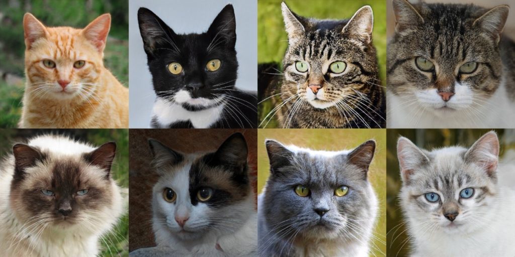 Что такое компьютерное зрение? (машинное обучение)