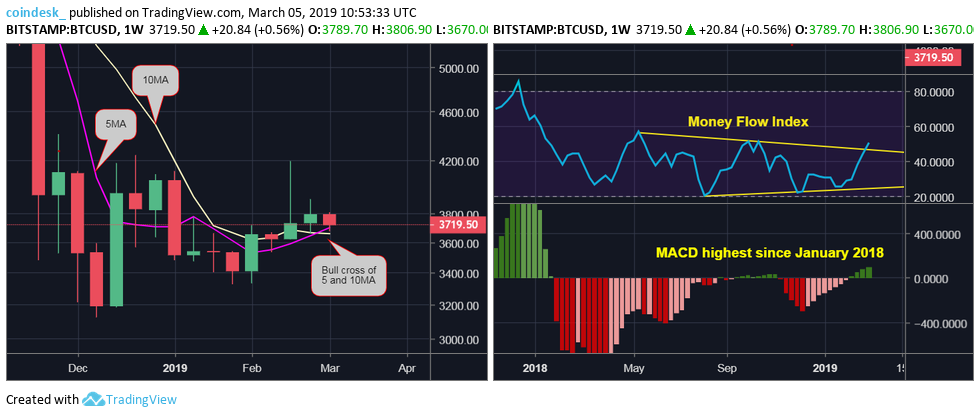 Цена биткоина упала до значений ноября прошлого года