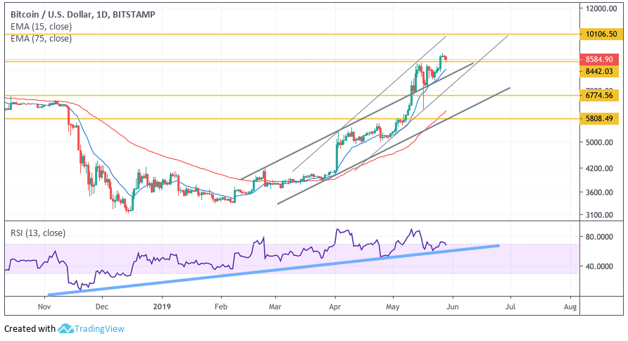 Анализ цен криптовалют: все говорит в пользу новой волны роста