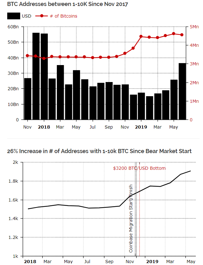Киты существенно нарастили инвестиции в биткоин во время «криптозимы»