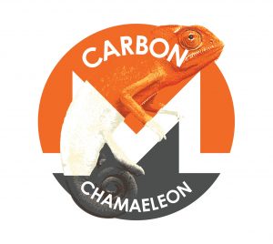 Путь Monero в 2019 году: борьба с ASIC, отстаивание приватности и атака «Большого взрыва»