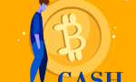 cashsmall