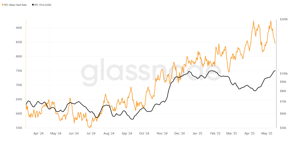 glassnode-studio_btc-mean-hash-rate-4