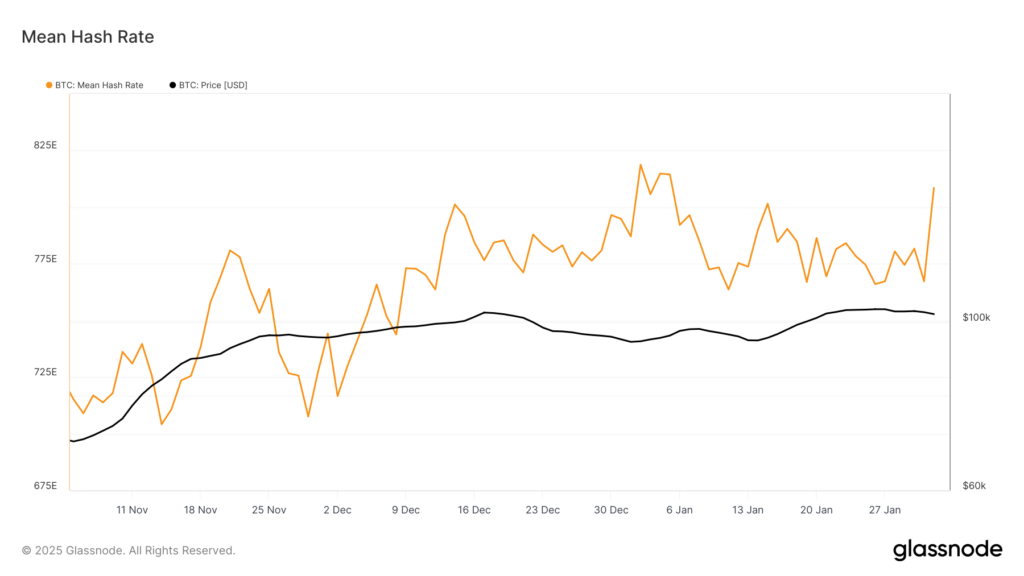 glassnode-studio_mean-hash-rate-3