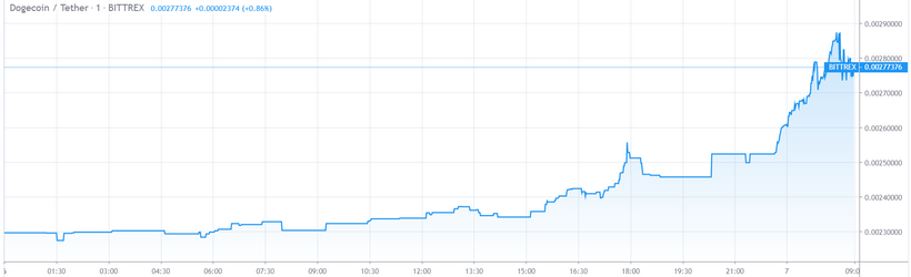 Dogecoin подорожала на 26% после вирусного видео в TikTok