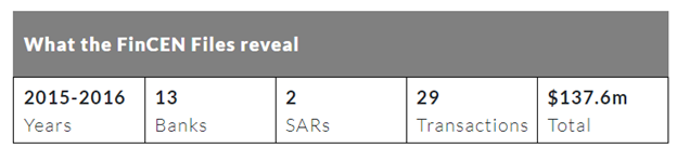 Основательница OneCoin Руджи Игнатова стала фигурантом досье FinCEN