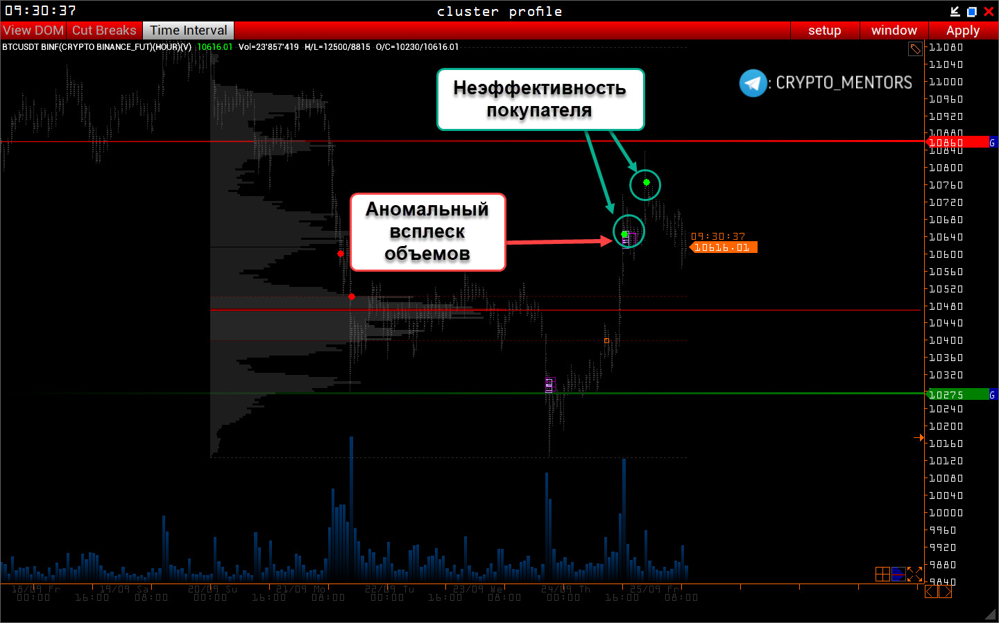 Трейдер рассказал о дальнейшем движении цены биткоина