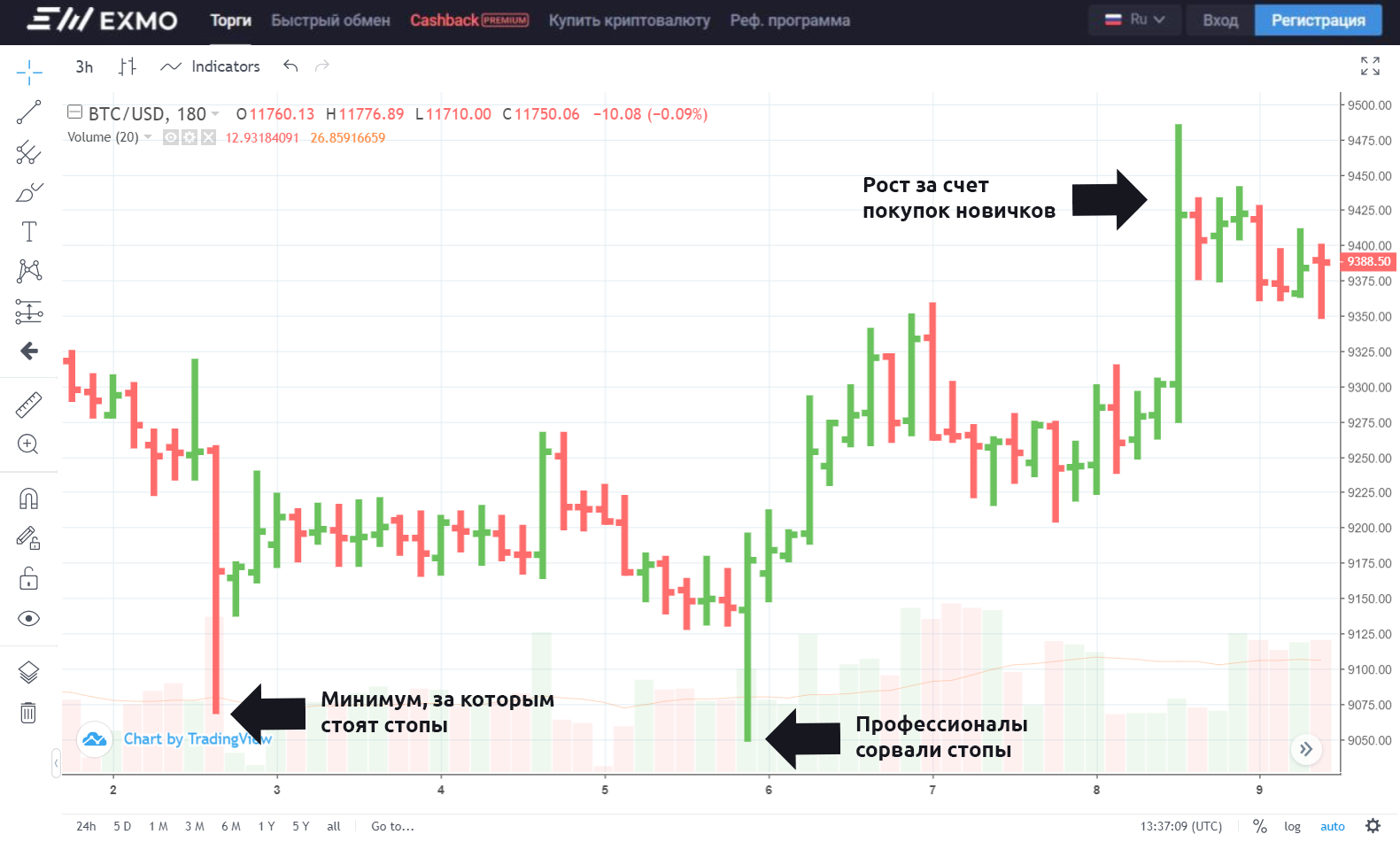 Шесть ошибок начинающих трейдеров. Рассказываем, как их избежать