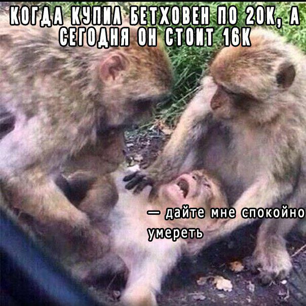 Вспоминая 2017: лучшие мемы криптосообщества