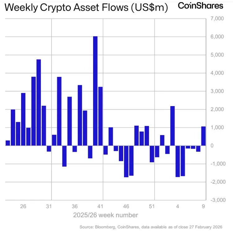 Снимок экрана 2026-03-02 164013