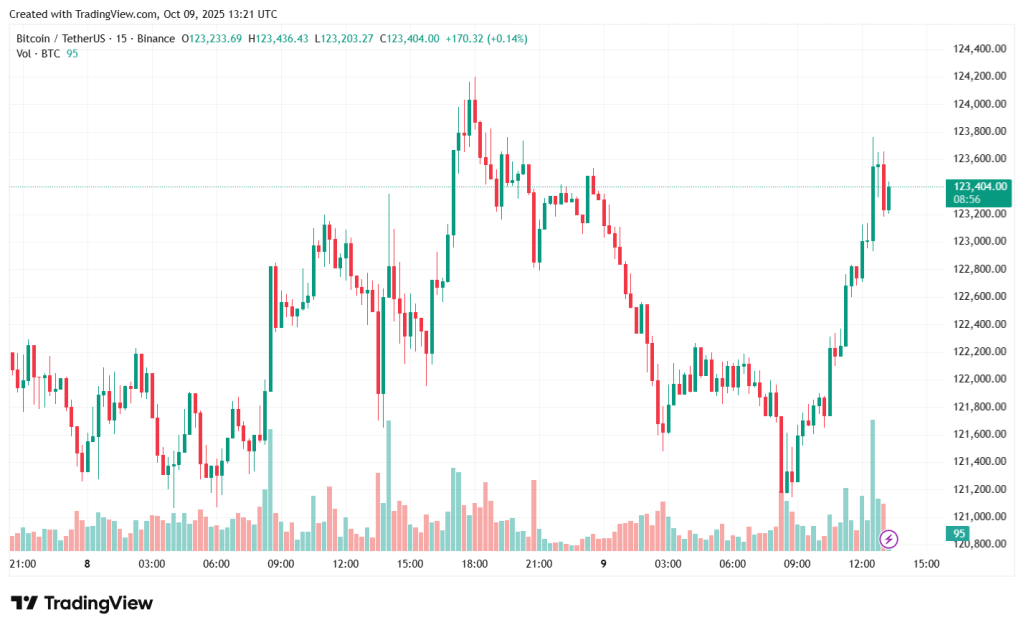 BTCUSDT_2025-10-09_16-21-12