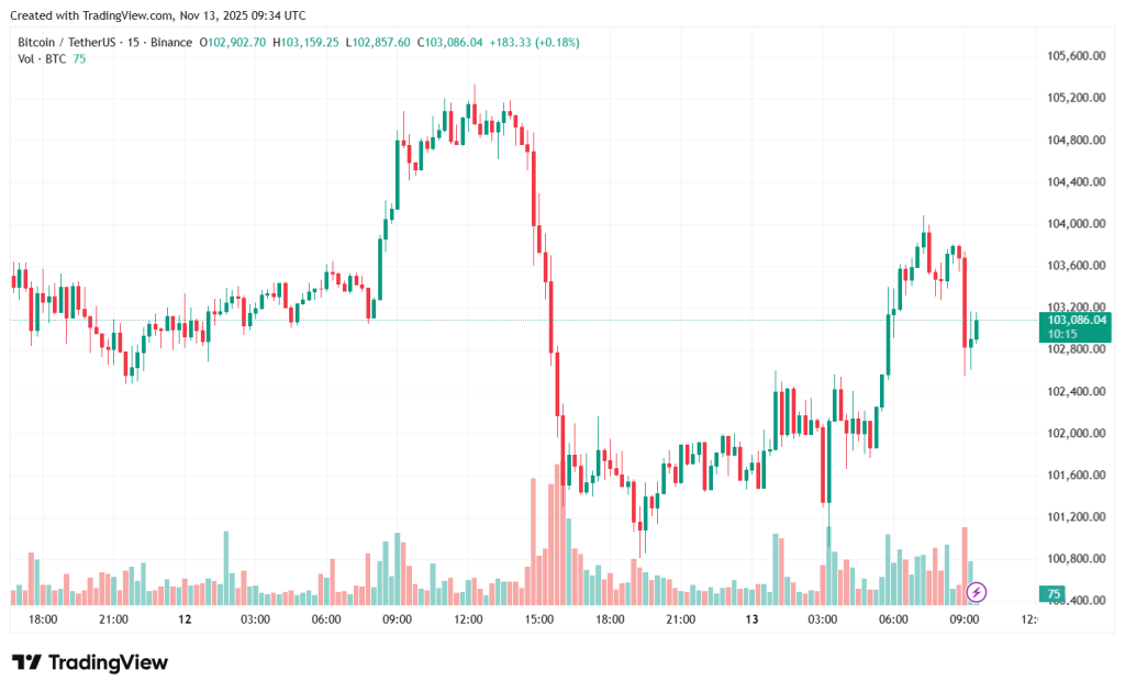 BTCUSDT_2025-11-13_12-34-46