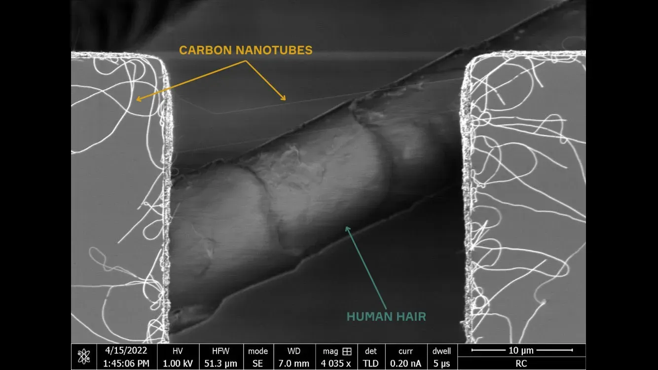 6a0d77d7d070d433ea8004e6_carbon-nanotube-human-hair-scale-comparison