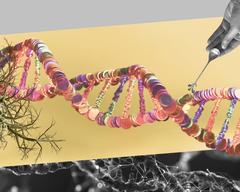 img-89f16337832883e4-7410442028565774