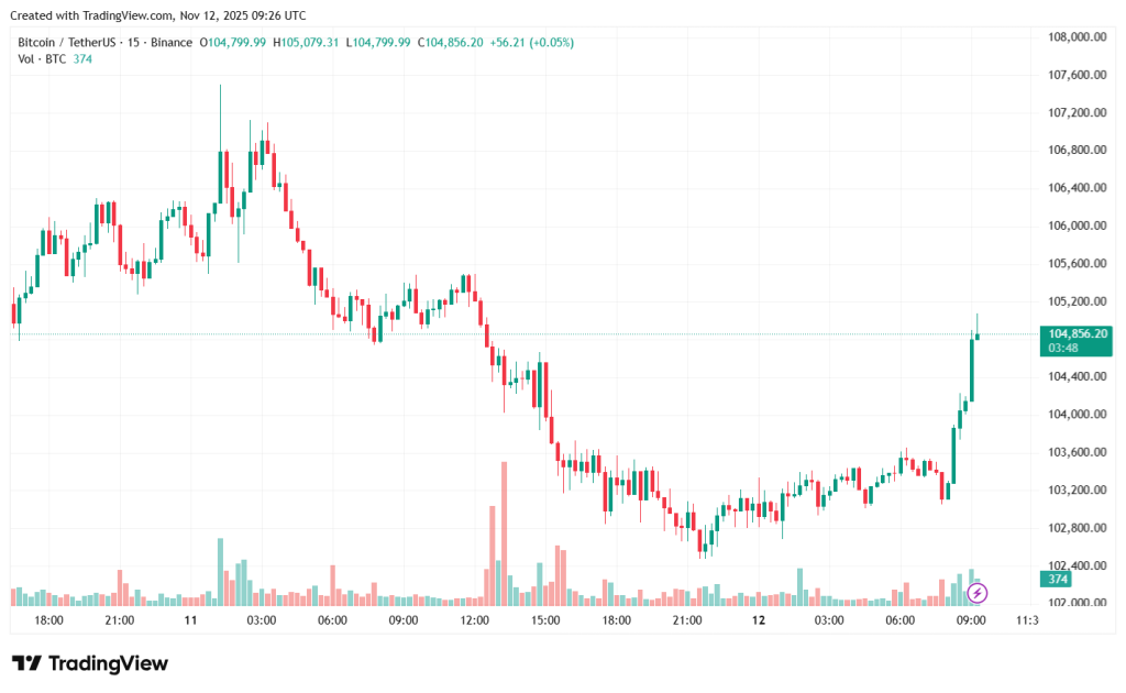 BTCUSDT_2025-11-12_12-26-14