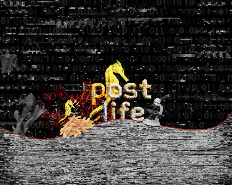 img-af277f26ff625cf3-8206637876421353