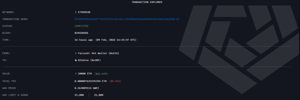 Снимок экрана 2026-02-10 111357