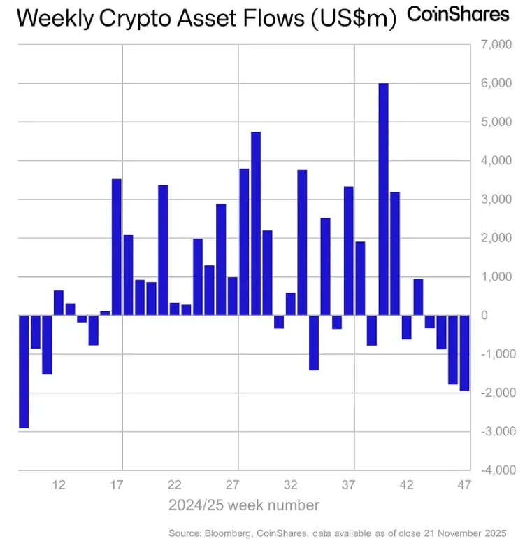 Снимок экрана 2025-11-24 161845