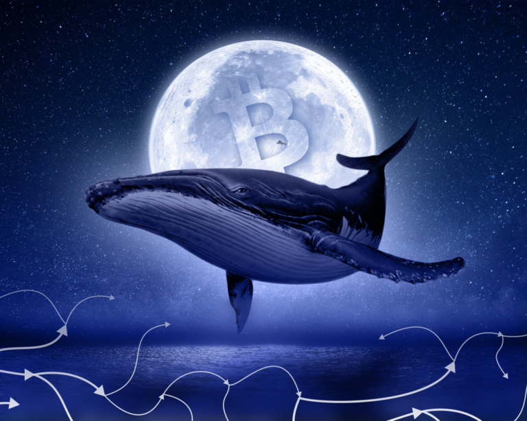 киты whales