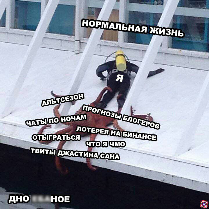 Клуб успешных людей: тут повсюду графики, падающий биткоин и нулевой профит