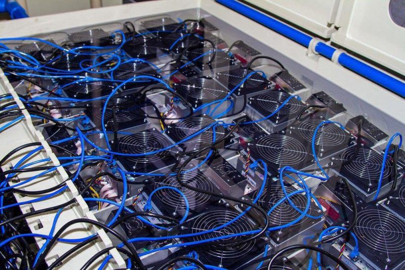 Ферма TerraMiner проведет экскурсию для потенциальных инвесторов