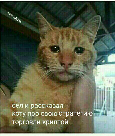 Образец кала или ракета: как менялось отношение трейдеров к альткоинам