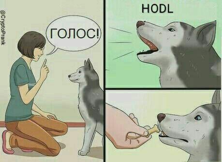 Когда, б***ь, туземун?: трейдеры обратились к Сатоши Накамото в трех словах