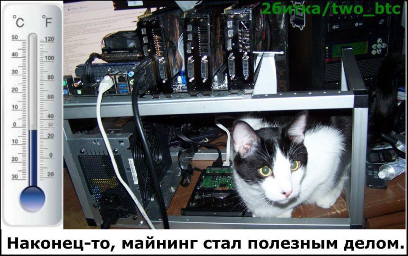 Когда, б***ь, туземун?: трейдеры обратились к Сатоши Накамото в трех словах