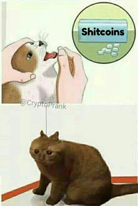 Семь раз об WAVES, один раз об Ripple: обзор криптопоговорок и мемов недели