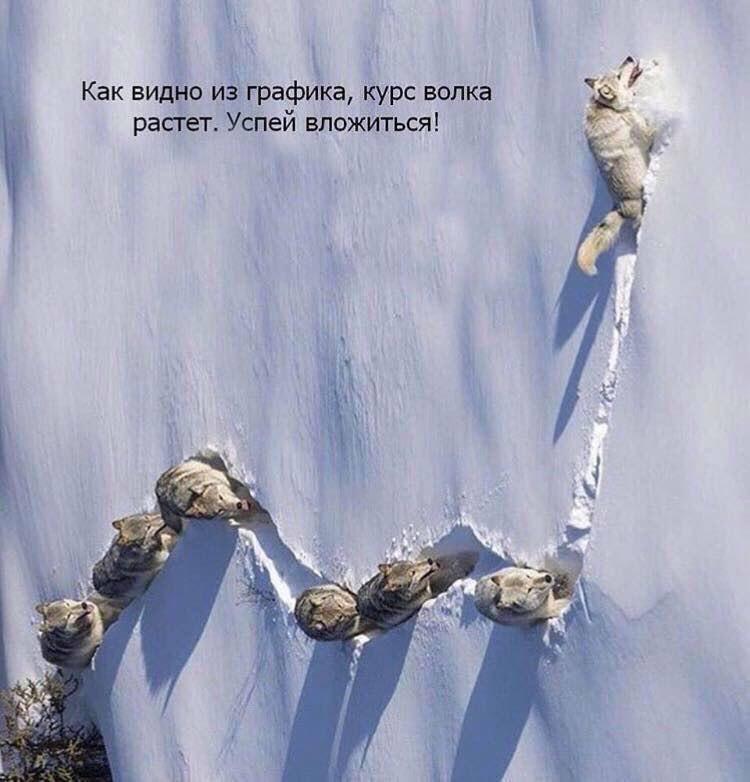 Парфюм с запахом горелой шерсти: дополняем образ владельца Ripple (мемы)