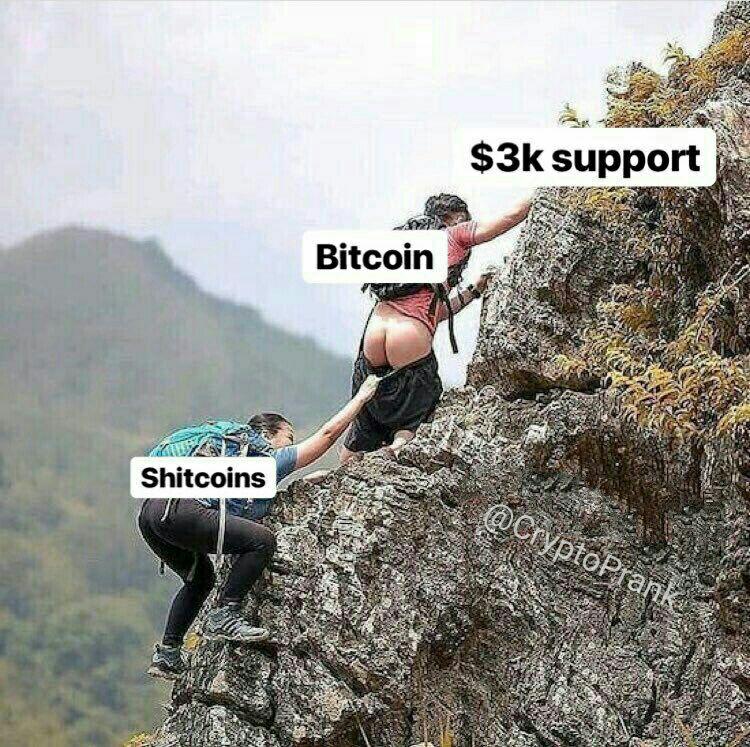 Ну как походлили? Биткоин летит на дно, а нам не до смеха (почти)