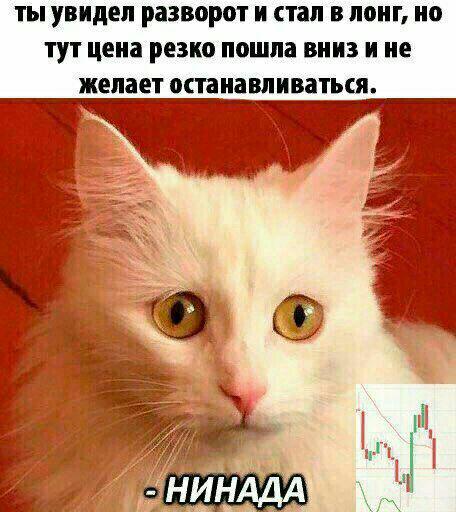 Будем падать, пока не вырастем: даунтренд-2018 в мемах