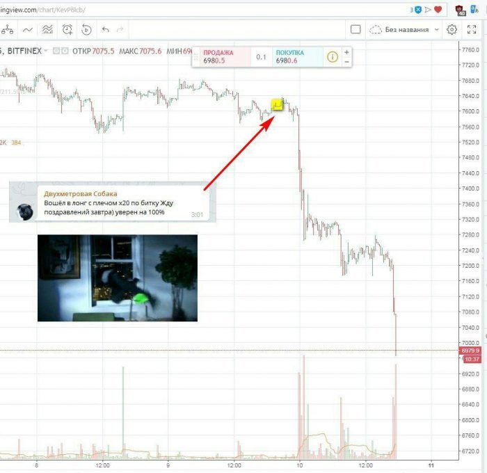 Будем падать, пока не вырастем: даунтренд-2018 в мемах