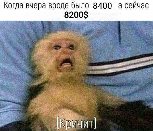 Будем падать, пока не вырастем: даунтренд-2018 в мемах