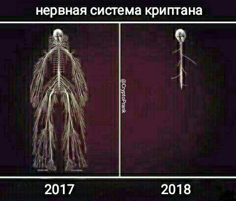 Будем падать, пока не вырастем: даунтренд-2018 в мемах