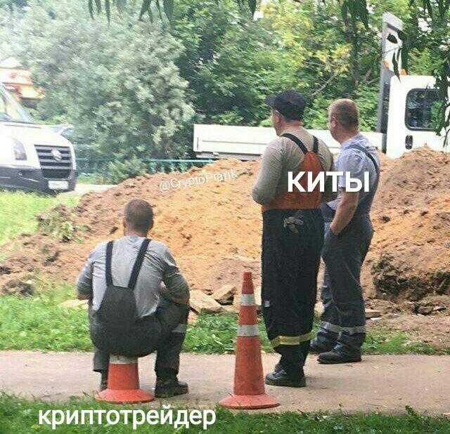 Будем падать, пока не вырастем: даунтренд-2018 в мемах