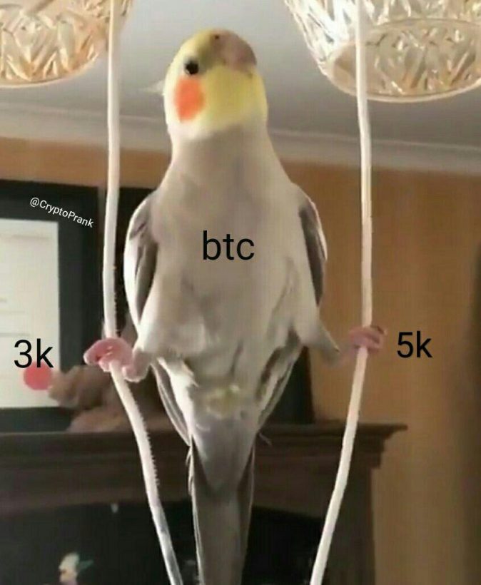 Правила выживания: плачущий трейдер как источник воды