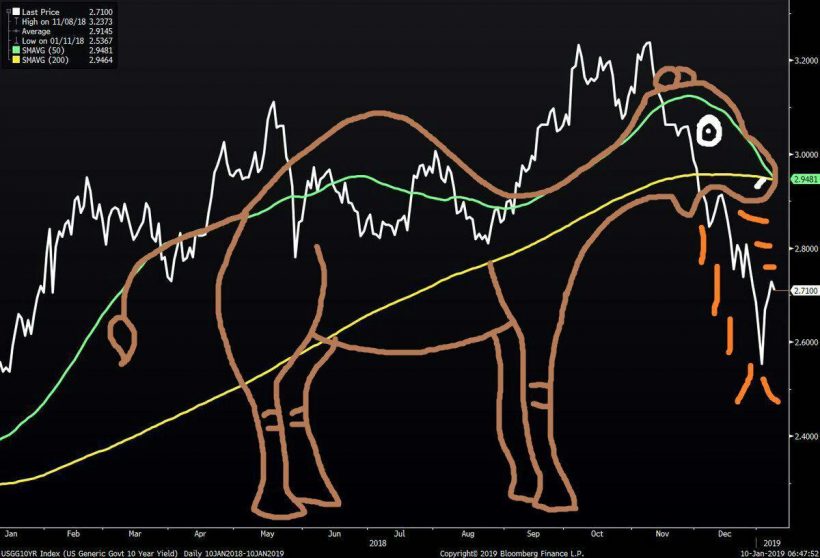 Правила выживания: плачущий трейдер как источник воды