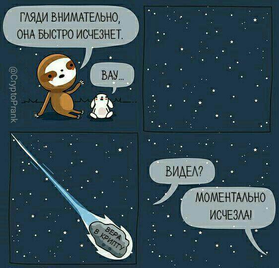 Ау, профит: окунаемся в «биткоин-прорубь» в ожидании буллрана