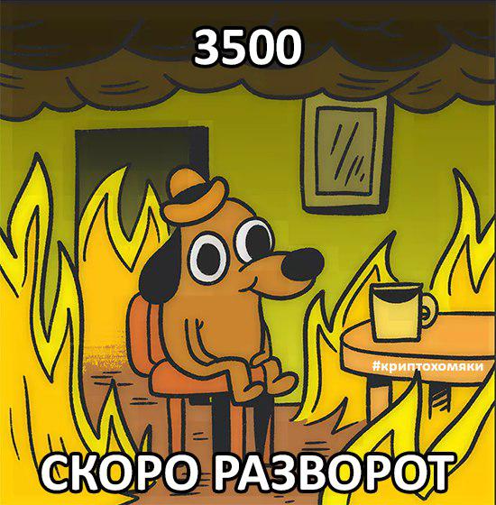 Солнце над Фудзиямой ярко светит. Разворота не будет: посвящаем хокку биткоину