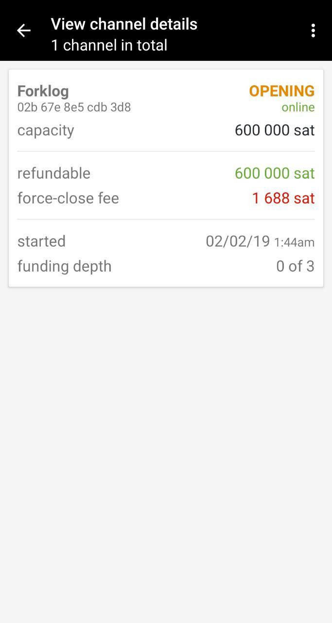 ForkLog запустил собственную ноду в сети Lightning Network