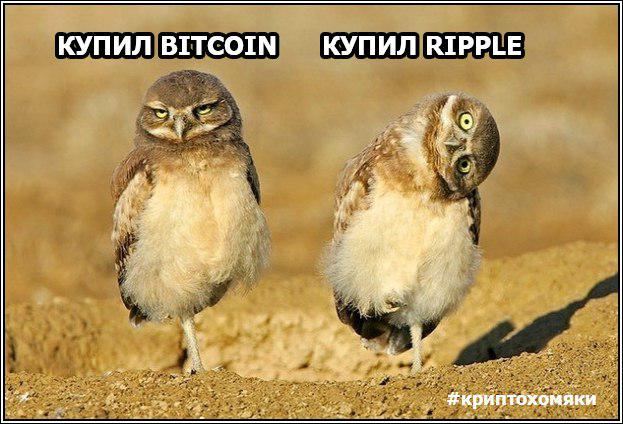 Торговать пьяным на бирже — к беде, и другие народные криптоприметы