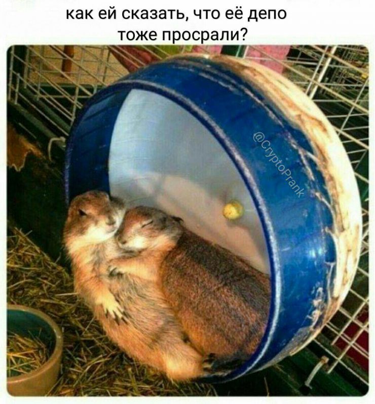 Едем кукухой с биткоином и другие виды внутреннего туризма