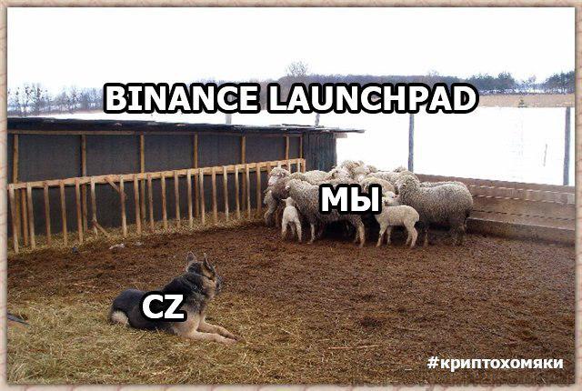 Keep calm и поясни за биткоин: почему мы едем в Kia и кричим «mamma mia»